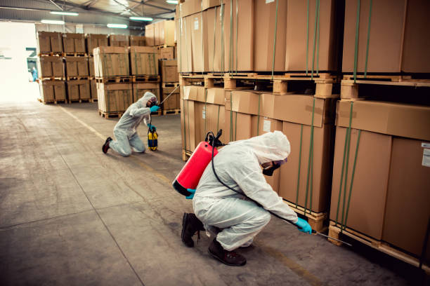 Best Local Pest Control Services  in Newton, MA
