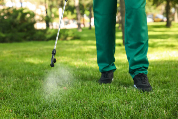 Professional Pest Control in Newton, MA