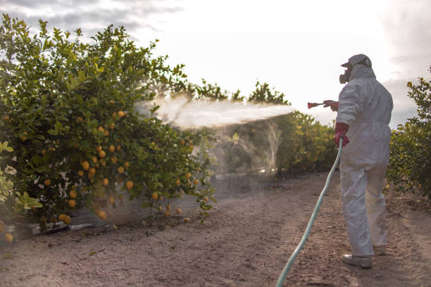 Best Affordable Pest Control Services  in Newton, MA