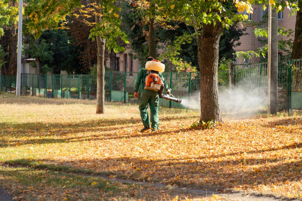 Best Termite Control Services  in Newton, MA